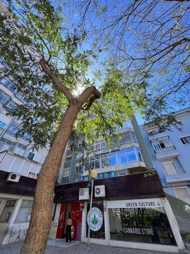Cozy Apartment In Central Almada W Swing Chairs Extérieur photo